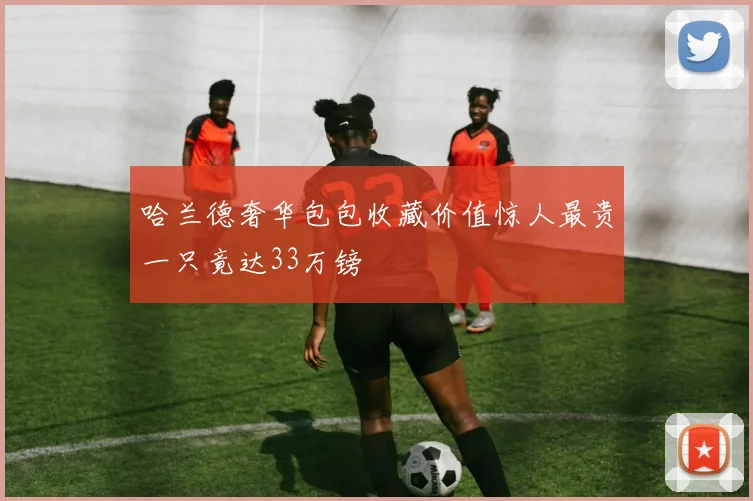 哈兰德奢华包包收藏价值惊人最贵一只竟达33万镑