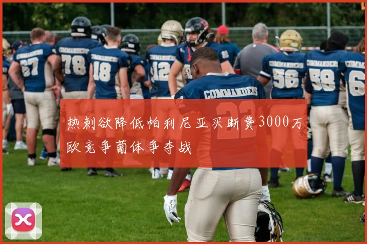 热刺欲降低帕利尼亚买断费3000万欧竞争葡体争夺战